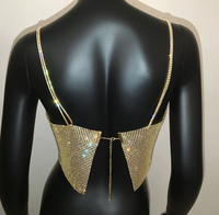 Crystal Chainmail Crop Top